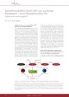 Signaltransduktion durch ATP und purinerge Rezeptoren - neue Therapieansätze für Lebererkrankungen?